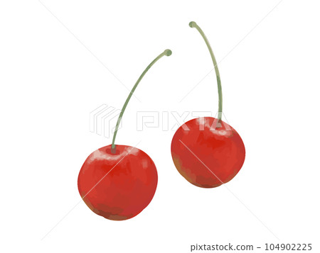 Illustration of cherry with watercolor touch 104902225