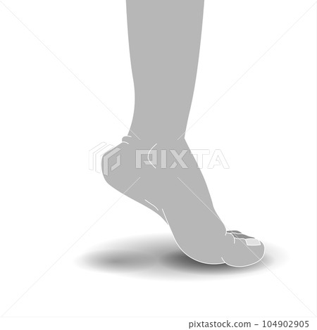 Foot on white background with shadow 104902905