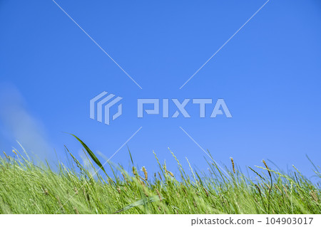 Cityscape of Ota Ward, Tokyo Tamagawa Green Zone 104903017