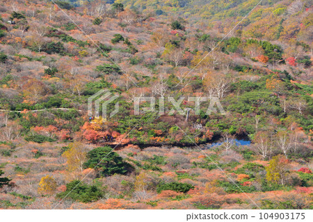 秋天那須烏巴平山 104903175