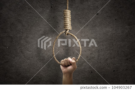 Hand holding rope noose with hangman's knot hanging on concrete wall 104903267