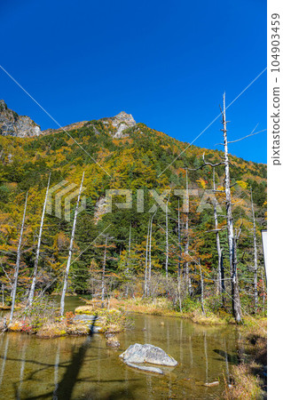 【秋季素材】錦州上高地、明神池、明神山【長野縣】 【秋季素材】錦州上高地、明神池、明神山【長野縣】 104903459