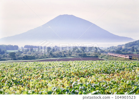Kiha 82 Limited Express Hokkai with Ezo Fuji in the background 104903523