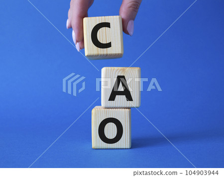 CAO - Chief Accounting Officer symbol. Wooden cubes with word CAO. Beautiful blue background. Businessman hand. Business and Chief Accounting Officer concept. Copy space. 104903944