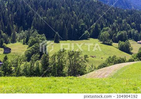 View on the Alps, Switzerland View on the Alps, Switzerland 104904192