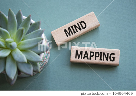 Mind Mapping symbol. Concept word Mind Mapping on wooden blocks. Beautiful grey green background with succulent plant. Business and Mind Mapping concept. Copy space 104904409