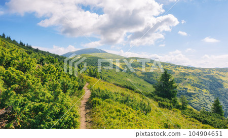 trail through the hills and meadows. alpine scenery of ukrainian carpathians. popular travel destination to the petros mountain in summer trail through the hills and meadows. alpine scenery of ukrainian carpathians. popular travel destination to the petros mountain in summer 104904651