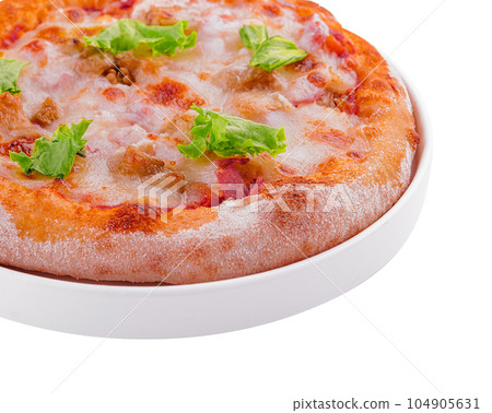 Mini pizzas with ham and mozzarella cheese 104905631