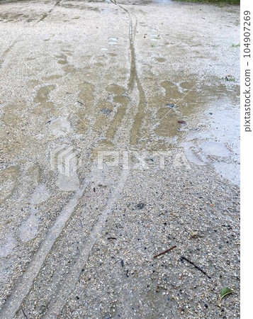 雨後泥濘路上的自行車輪胎痕跡和腳印 104907269