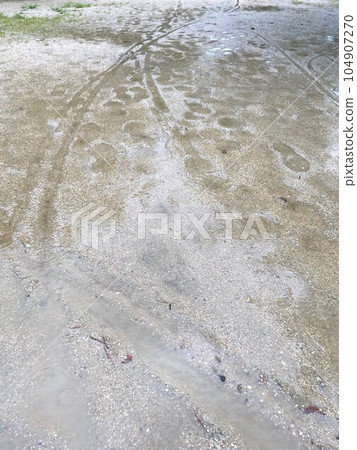 雨後泥濘路上的自行車輪胎痕跡和腳印 雨後泥濘路上的自行車輪胎痕跡和腳印 104907270