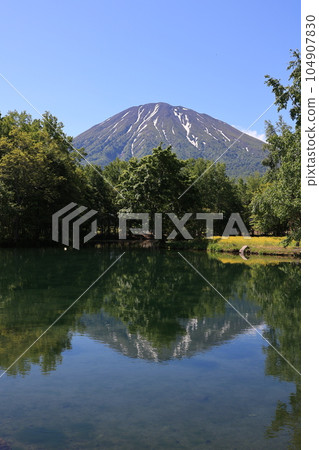 俱知安町鏡山羊蹄山倒映在池塘里 俱知安町鏡山羊蹄山倒映在池塘里 104907830