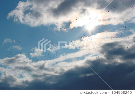 藍天、雲彩和候鳥 藍天、雲彩和候鳥 104908240