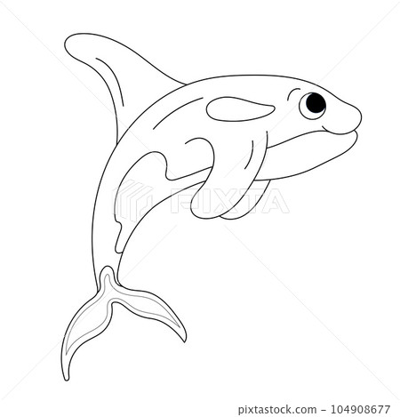 Isolated doodle killer whale black line. Outline vector illustration Icon sea animals. Ocean dweller 104908677