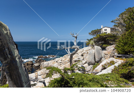 Coastal landscape in California 104908720