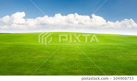 Landscape with green grass field under a blue sky 104908733
