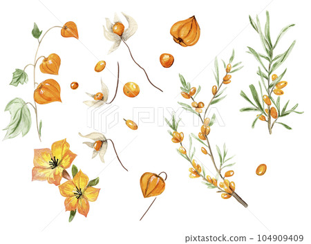 Watercolor autumn square frame with sea buckthorn. Illustration of autumn for scrapbooking, invitation, posters, greetings cards, party decoration,wedding stationary, fashion, background. 104909409