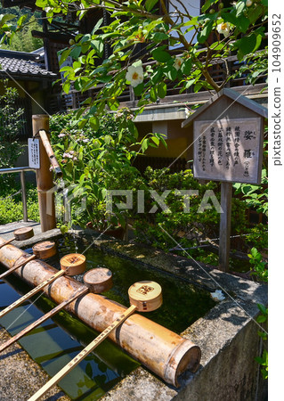 [Nara] Yata Temple is also called Hydrangea Temple. Many varieties of hydrangea are blooming along the approach and it is beautiful. 104909652