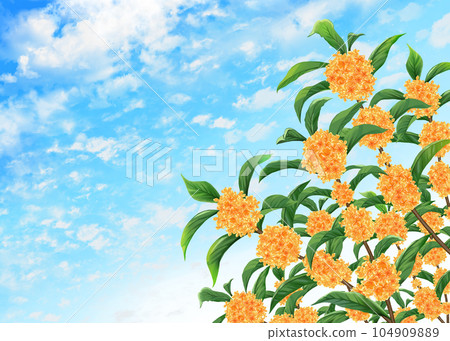 Kanemi和藍天 Kanemi和藍天 104909889