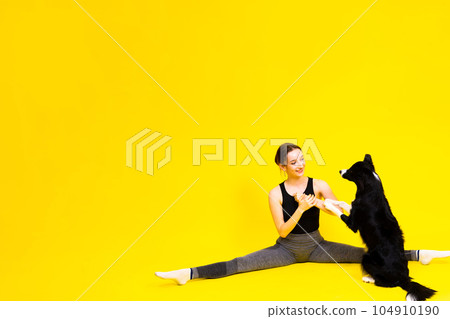 Excited girl dancing with border collie. Studio portrait lady looking at dog with surprised smile. 104910190