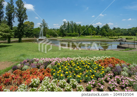 埼玉縣入間市西之森入間公園 104910504