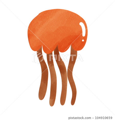 Jellyfish  104910659