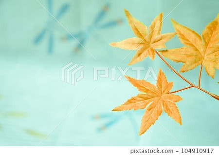 假秋葉與蜻蜓圖案相結合的秋天形象 104910917