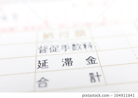 納稅單上催款費和滯納金的輸入字段 納稅單上催款費和滯納金的輸入字段 104911841