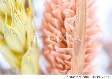 Beautiful dried flower bouquet Beautiful dried flower bouquet 104912343