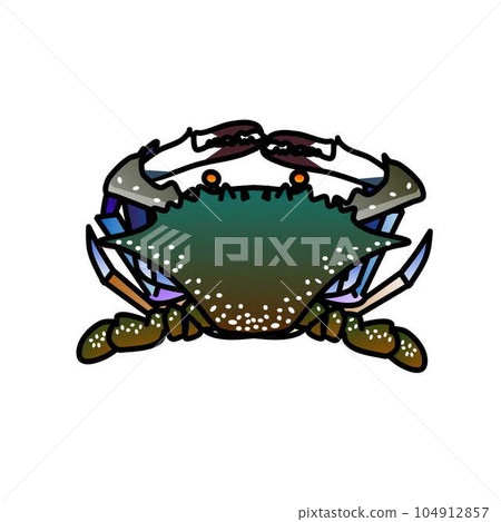 Illustration of gazami crab 104912857