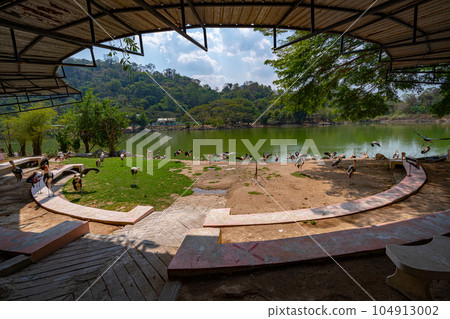 The lake in the khao kheow open zoo 104913002