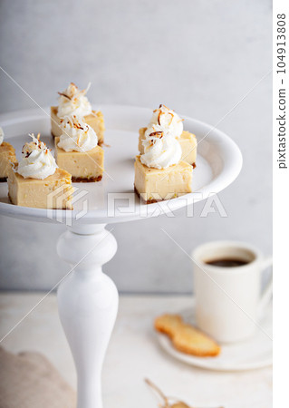 Bite sized dessert, coconut custard pie 104913808