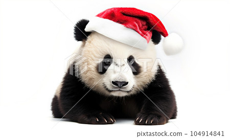 Clumsy cute panda bear in santa claus hat, white background copy space. New Year, holiday concept 104914841