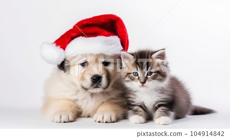 Cute fluffy ginger kitten and puppy in santa claus hat, close-up light background copy space. New Year, holiday concept 104914842