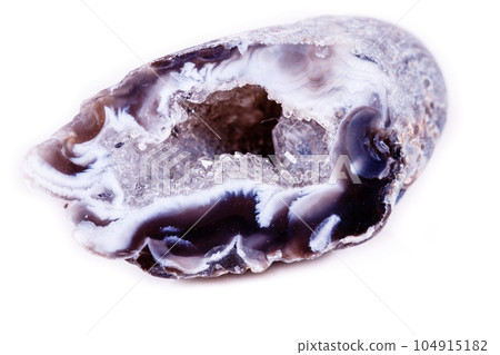 Macro mineral stone agate bud on white background Macro mineral stone agate bud on white background 104915182