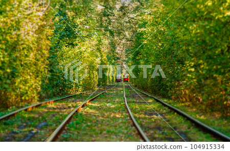 Tram and tram rails in colorful forest Tram and tram rails in colorful forest 104915334