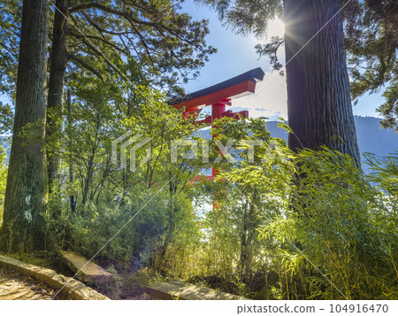 Torii at Hakone Shrine seen from the approach / Hakone, Japan 104916470