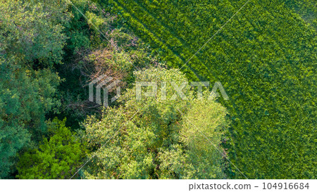 Landscape Mecklenburg Lake District, Mecklenburg-West Pomerania, Germany 104916684