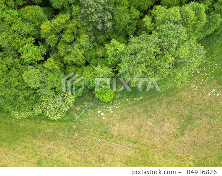 Landscape Mecklenburg Lake District, Mecklenburg-West Pomerania, Germany 104916826