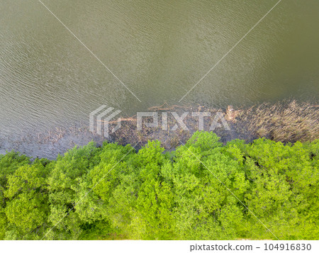 Great Pleetsch Lake near Diemitz, Germany 104916830