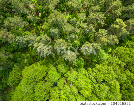 Landscape Mecklenburg Lake District, Mecklenburg-West Pomerania, Germany 104916831