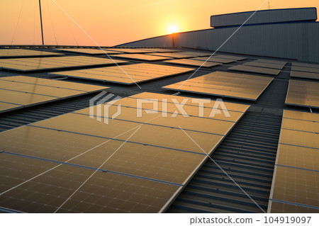 Solar cell farm power plant and solar panels with sunset in evening 104919097