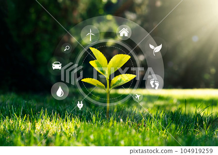 Ecology concept with growing plant and eco icons 104919259