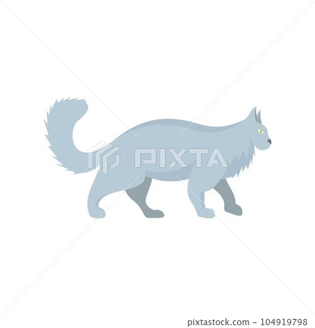 Grey cat icon. Flat illustration of grey cat vector icon for web isolated on white 104919798