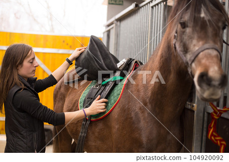 How to use horse saddle, harness and strap accessories. Mid-adult Hispanic woman closeup in paddock How to use horse saddle, harness and strap accessories. Mid-adult Hispanic woman closeup in paddock 104920092