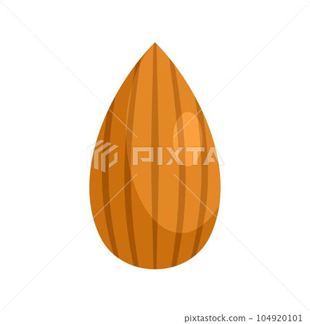 Almond nut icon. Flat illustration of almond nut vector icon for web isolated on white Almond nut icon. Flat illustration of almond nut vector icon for web isolated on white 104920101