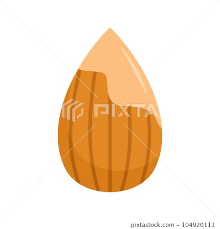 Almond icon. Flat illustration of almond vector icon for web isolated on white 104920111