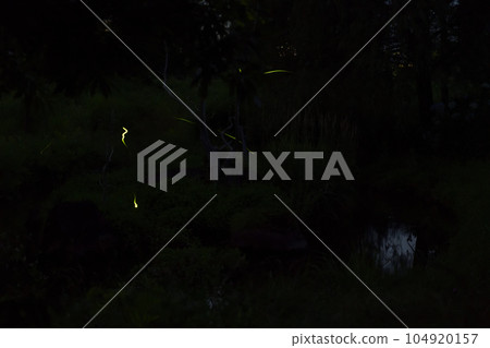 Hakushu Town, Hokuto City, "Firefly Shinsui Park" Fireflies dance in the summer evening 104920157