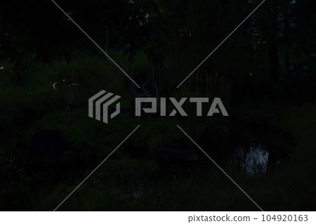Hakushu Town, Hokuto City, "Firefly Shinsui Park" Fireflies dance in the summer evening 104920163