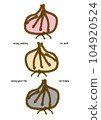 Healthy food onion 104920524