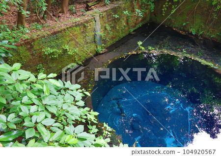 Kakita River Springs Kakita River Springs 104920567